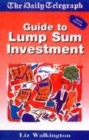 Image for The Daily Telegraph guide to lump sum investment