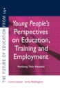 Image for Young people&#39;s perspectives on education, training and employment  : realizing their potential