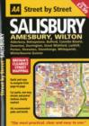 Image for Salisbury  : Amesbury, Wilton : Midi