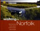 Image for Walking in Norfolk