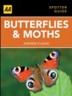 Image for Butterflies and Moths