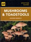Image for Mushrooms &amp; Toadstalls