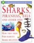 Image for Closer look at sharks, piranhas, eels and other fish