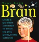 Image for The Brain