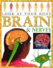 Image for Brains and nerves