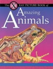 Image for The X-ray picture book of amazing animals