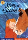 Image for Wonderwise Readers: Story Of A Storm