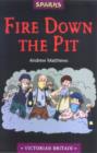 Image for Fire Down the Pit