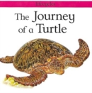 Image for The Journey Of A Turtle