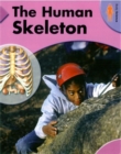 Image for The Human Skeleton
