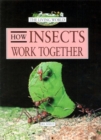 Image for How insects work together