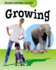 Image for Humans And Other Animals: Growing Up