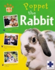 Image for Poppet The Rabbit