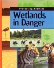 Image for Wetlands in danger