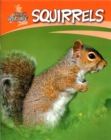 Image for Squirrels