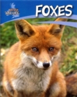 Image for Foxes
