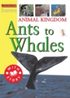 Image for Ants to whales  : animal kingdom
