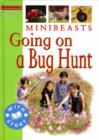 Image for Minibeasts  : going on a bug hunt
