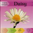 Image for Looking at Lifecycles: Daisy