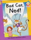 Image for Bad Cat, Ned!