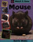 Image for Mouse