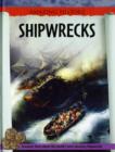 Image for Amazing History: Shipwrecks