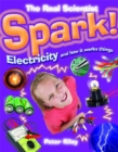 Image for The Real Scientist: Spark-Electricity and How It Works