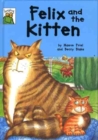 Image for Felix and the kitten