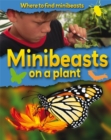 Image for Where to Find Minibeasts: Minibeasts on a Plant