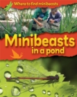 Image for Minibeasts in a Pond