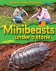 Image for Where to Find Minibeasts: Minibeasts Under a Stone
