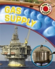 Image for How It Works: Gas Supply
