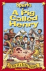 Image for Tudor Tearaway:A Pig Called Henry