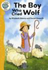 Image for The boy who cried wolf