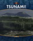Image for Nature&#39;s Fury: Tsunami