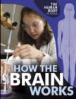 Image for How the brain works