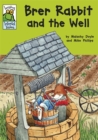 Image for Leapfrog World Tales: Brer Rabbit and the Well
