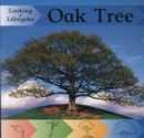 Image for Looking at Lifecycles: Oak Tree
