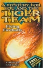 Image for Tiger Team