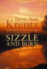 Image for Sizzle And Burn