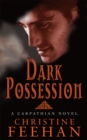 Image for Dark Possession