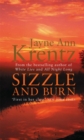 Image for Sizzle And Burn