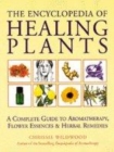 Image for The encyclopedia of healing plants  : a complete guide to aromatherapy, flower essences &amp; herbal remedies