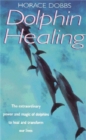 Image for Dolphin healing  : the extraordinary power and magic of dolphins to heal and transform our lives