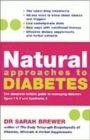 Image for Natural Approaches To Diabetes
