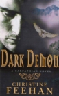 Image for Dark Demon