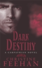 Image for Dark Destiny