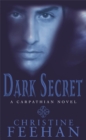 Image for Dark secret