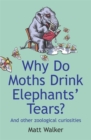 Image for Why do moths drink elephants&#39; tears?  : and other zoological curiosities