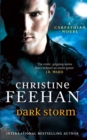 Image for Dark storm